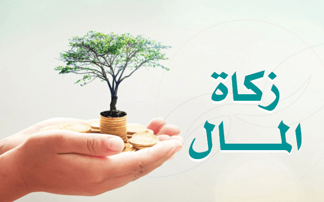 زكاة المال - photo