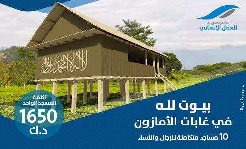 Amazon Forest Wooden Mosques Project - photo